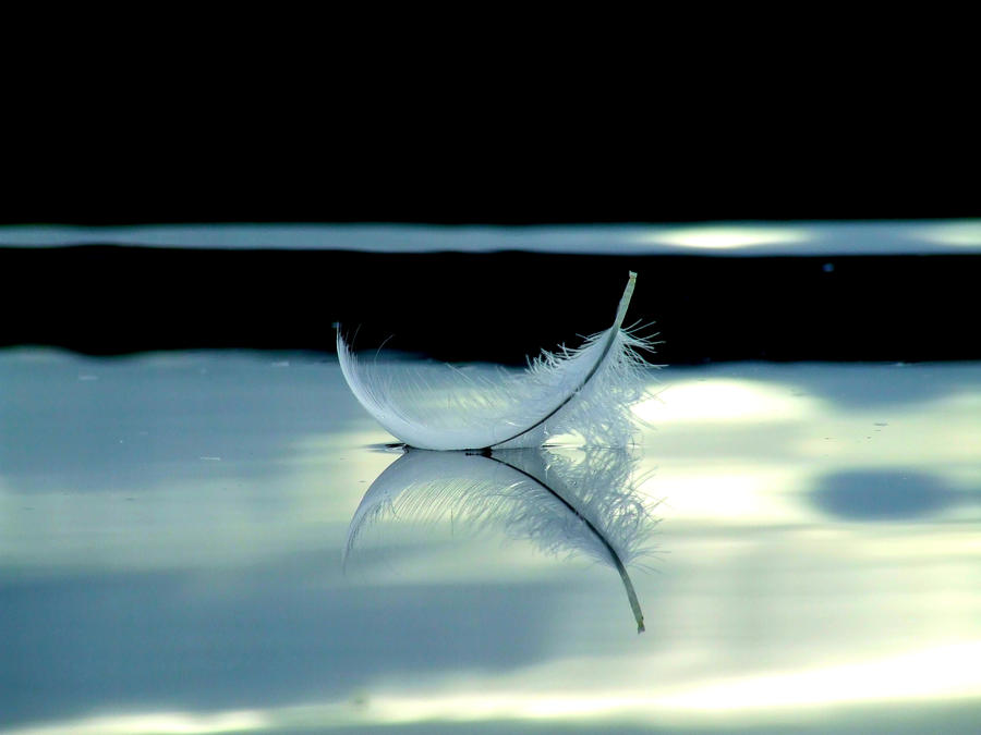 Feather On Water