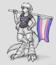 Trans t-shirt meme