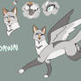 Dawn - Reference Sheet