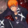 NewIchigo