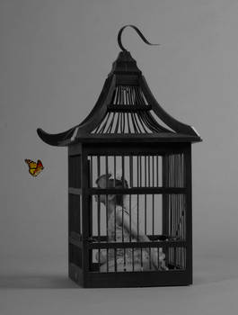 Girl in cage