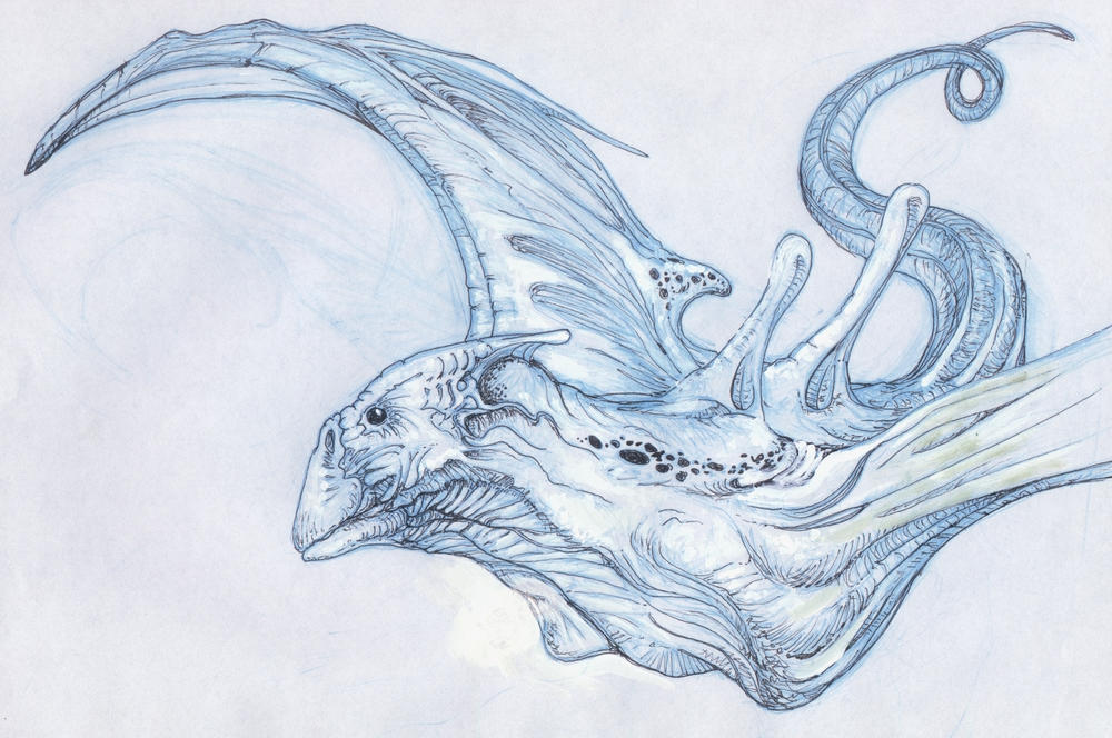 Alien Bird Concept By Creatureone On Deviantart
