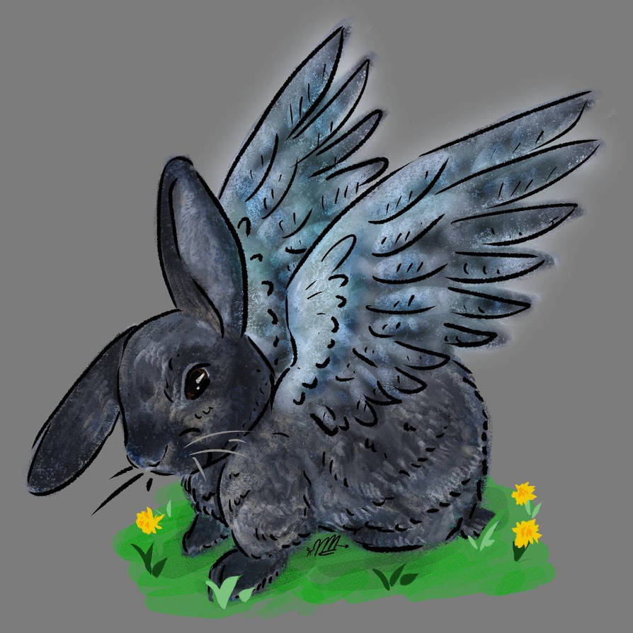 Sky Bunny by HalcyonsMoira on DeviantArt