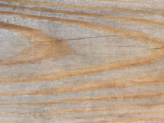 Wood Texture