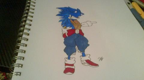RAT RAGE SONIC by WWE122 on DeviantArt