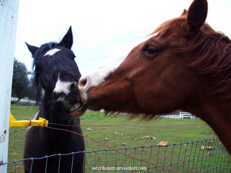 Smile Kisses