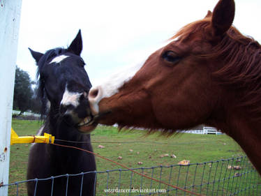 Smile Kisses