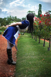 Alice Madness Returns Cosplay - Roses