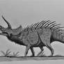 Dinovember #15: Triceratops prorsus