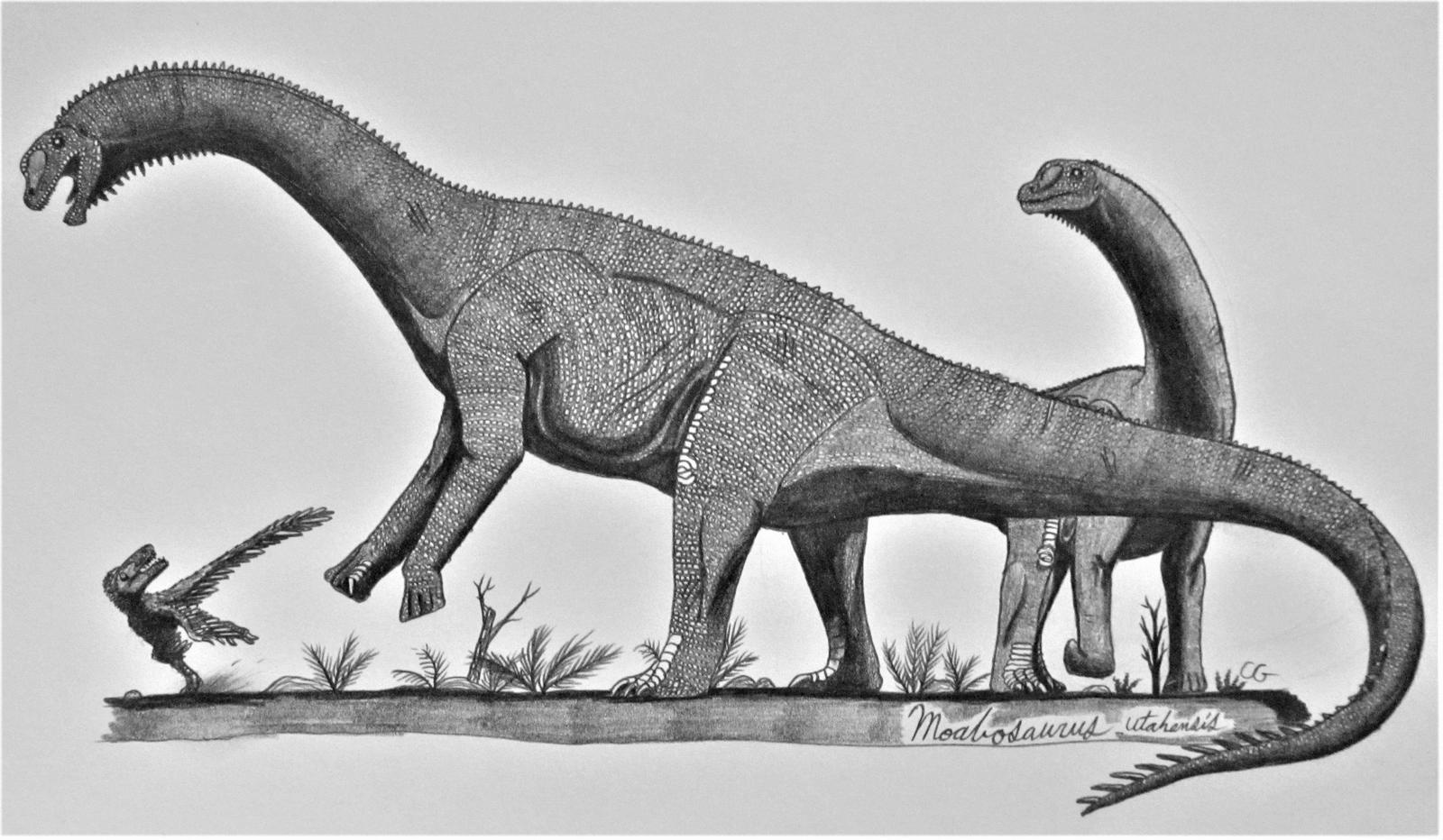 Moabosaurus utahensis by AcroSauroTaurus on DeviantArt