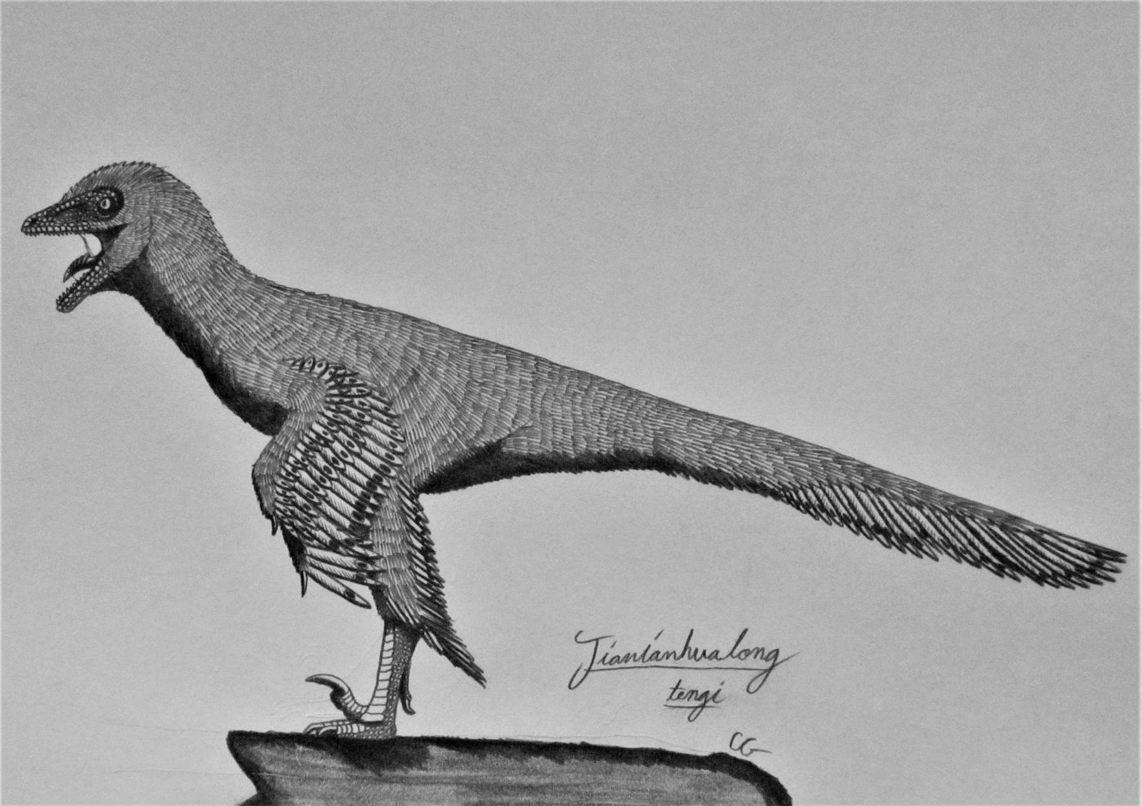 Jianianhualong tengi by AcroSauroTaurus on DeviantArt