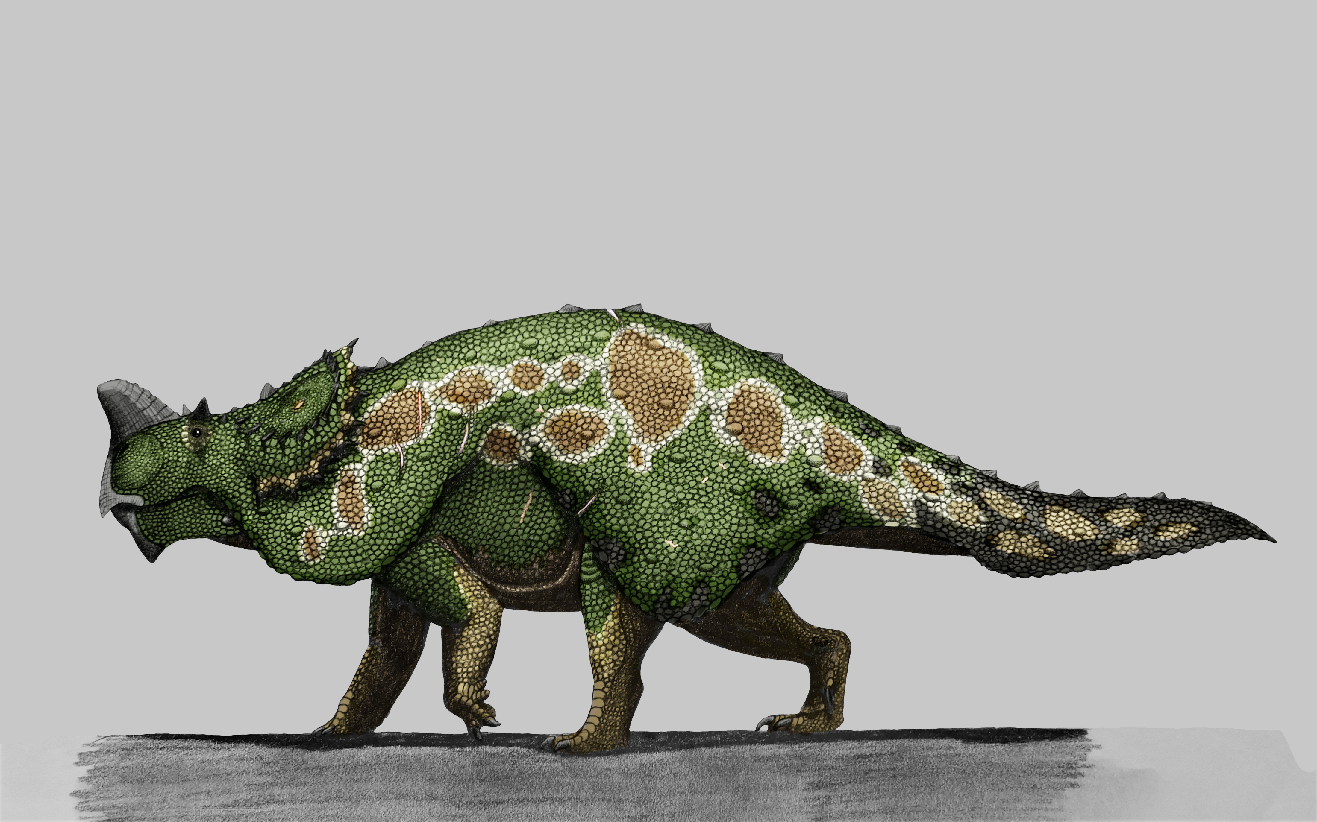 Red Slagtoth Monster Hunter 3rd Gen: Slagtoth by AcroSauroTaurus on DeviantArt