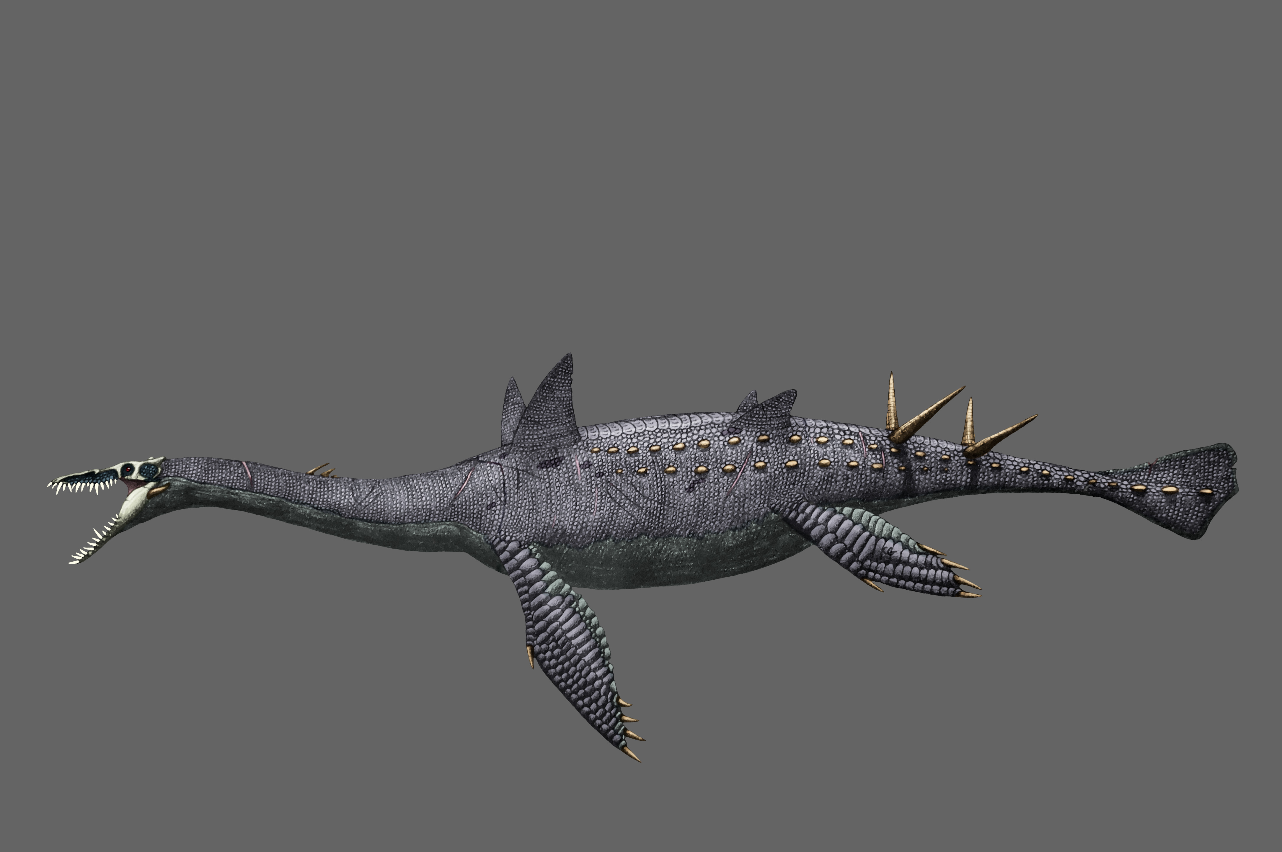 Cryptailurus Kaijuverse: Cryptocleidus by AcroSauroTaurus on DeviantArt