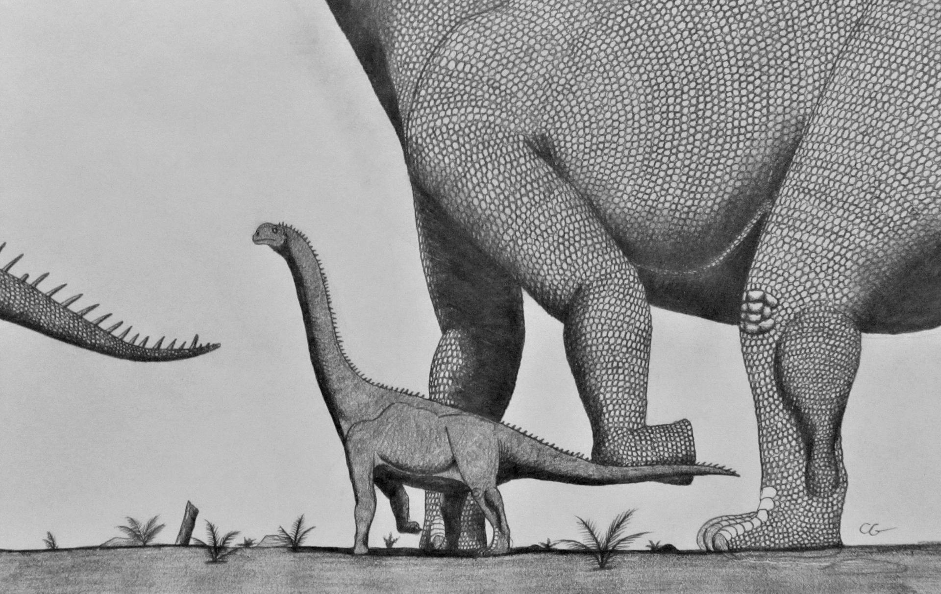 Daanosaurus zhangi