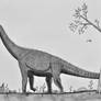 Abrosaurus dongpoi