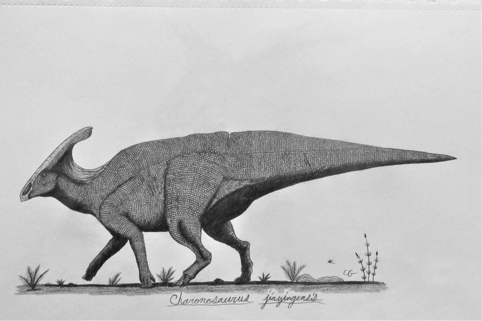 Charonosaurus jiayingensis by AcroSauroTaurus on DeviantArt