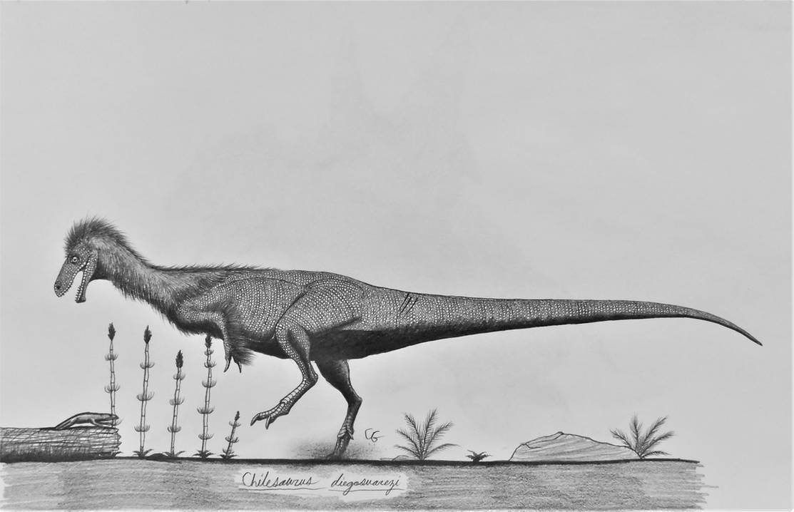 Chilesaurus diegosuarezi by AcroSauroTaurus on DeviantArt