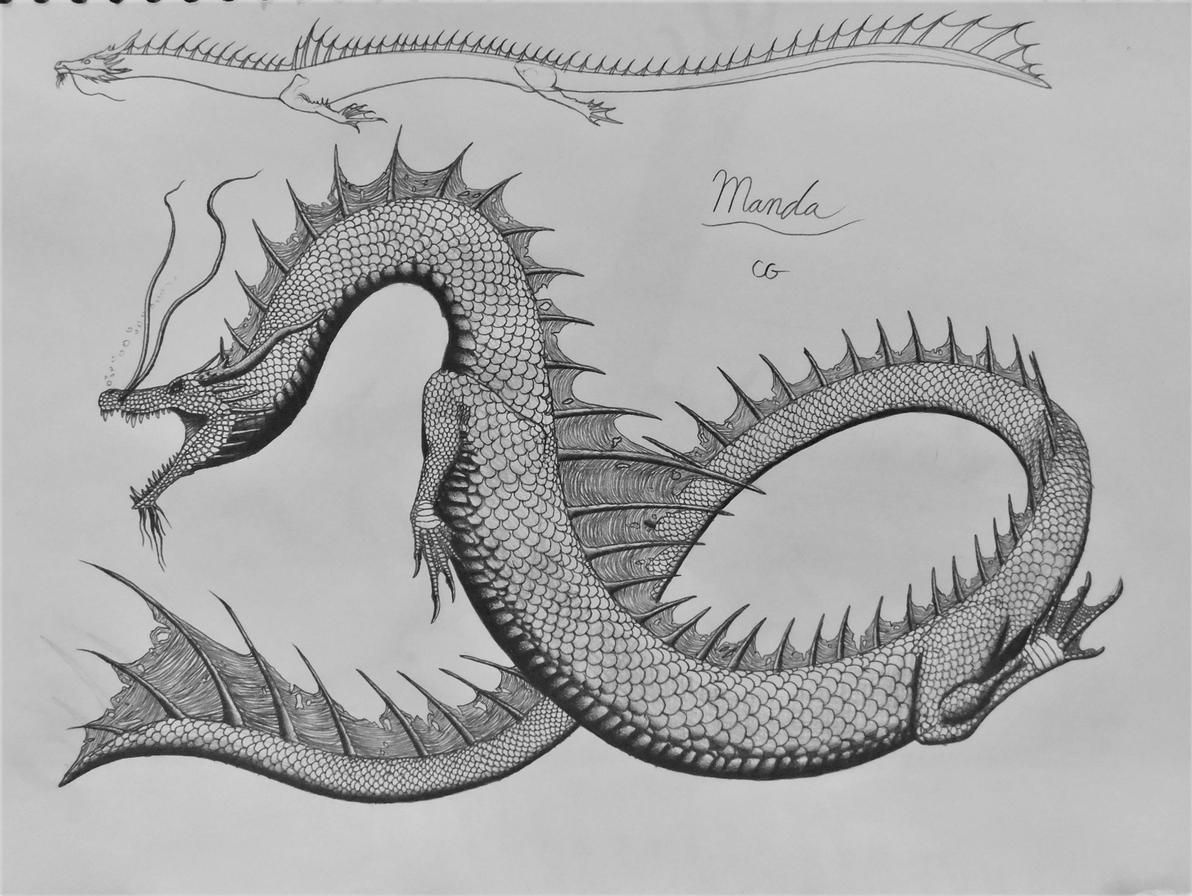 Manda Kaiju: Manda by AcroSauroTaurus on DeviantArt