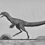 Compsognathus longipes