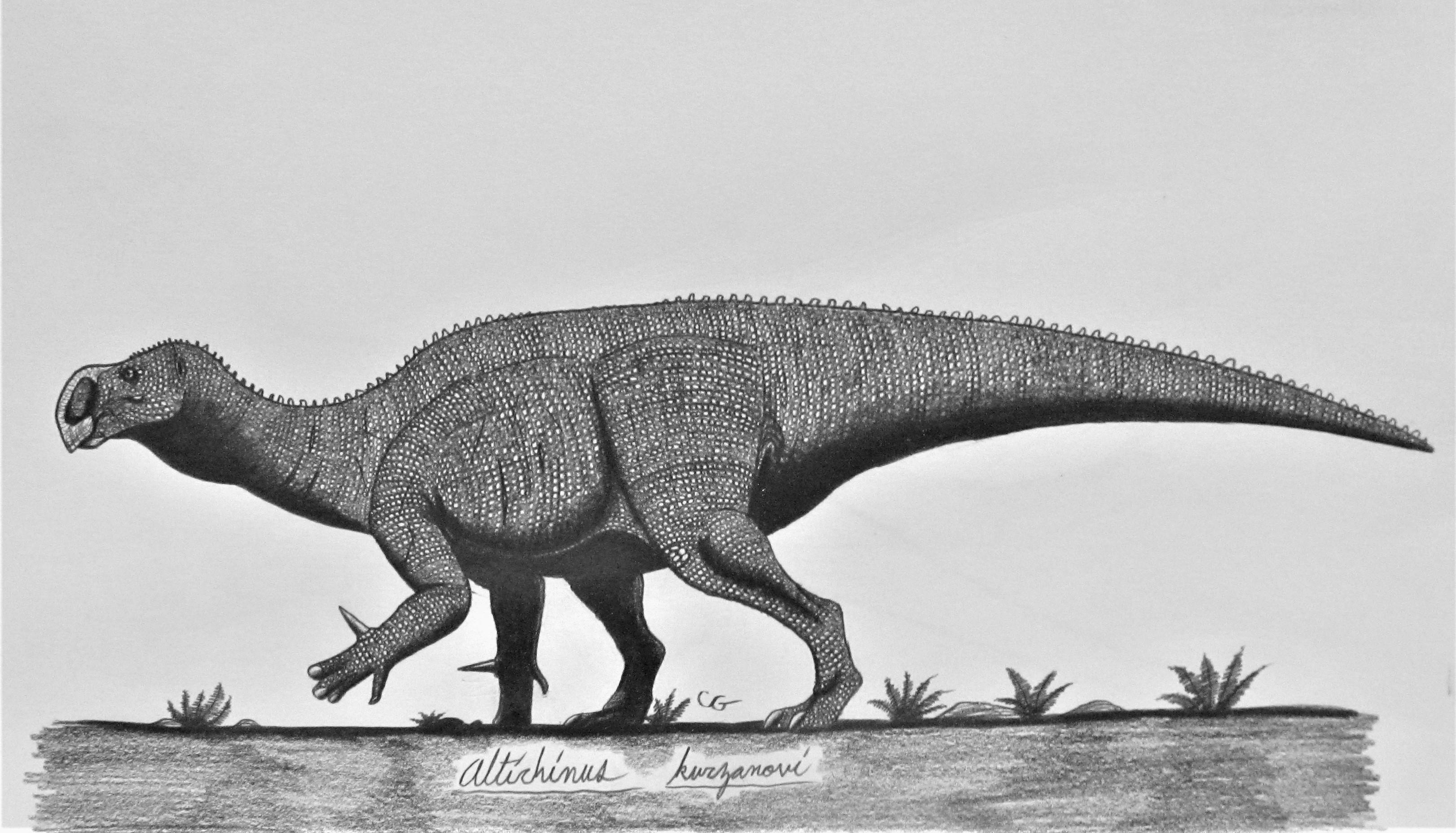 Acrosaurotaurus S Artwork Acrosaurotaurus S Artwork