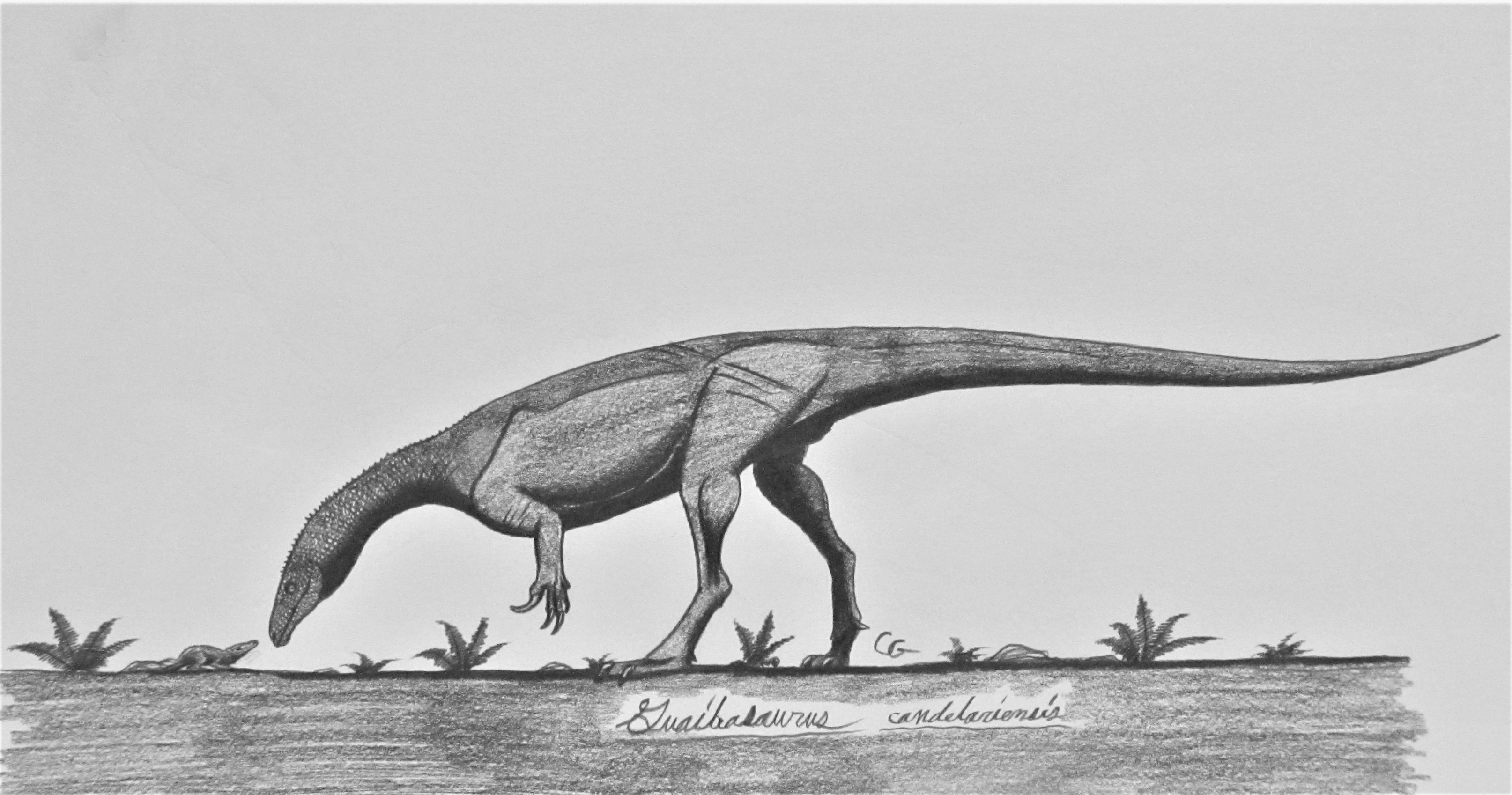 Guaibasaurus Candelariensis By Acrosaurotaurus On Deviantart Guaibasaurus Candelariensis By Acrosaurotaurus On Deviantart