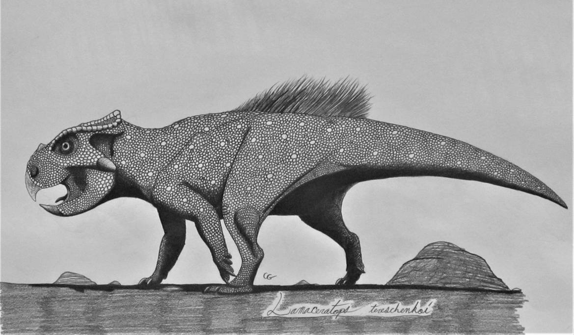 Bagaceratops rozhdestvenskyi by AcroSauroTaurus on DeviantArt