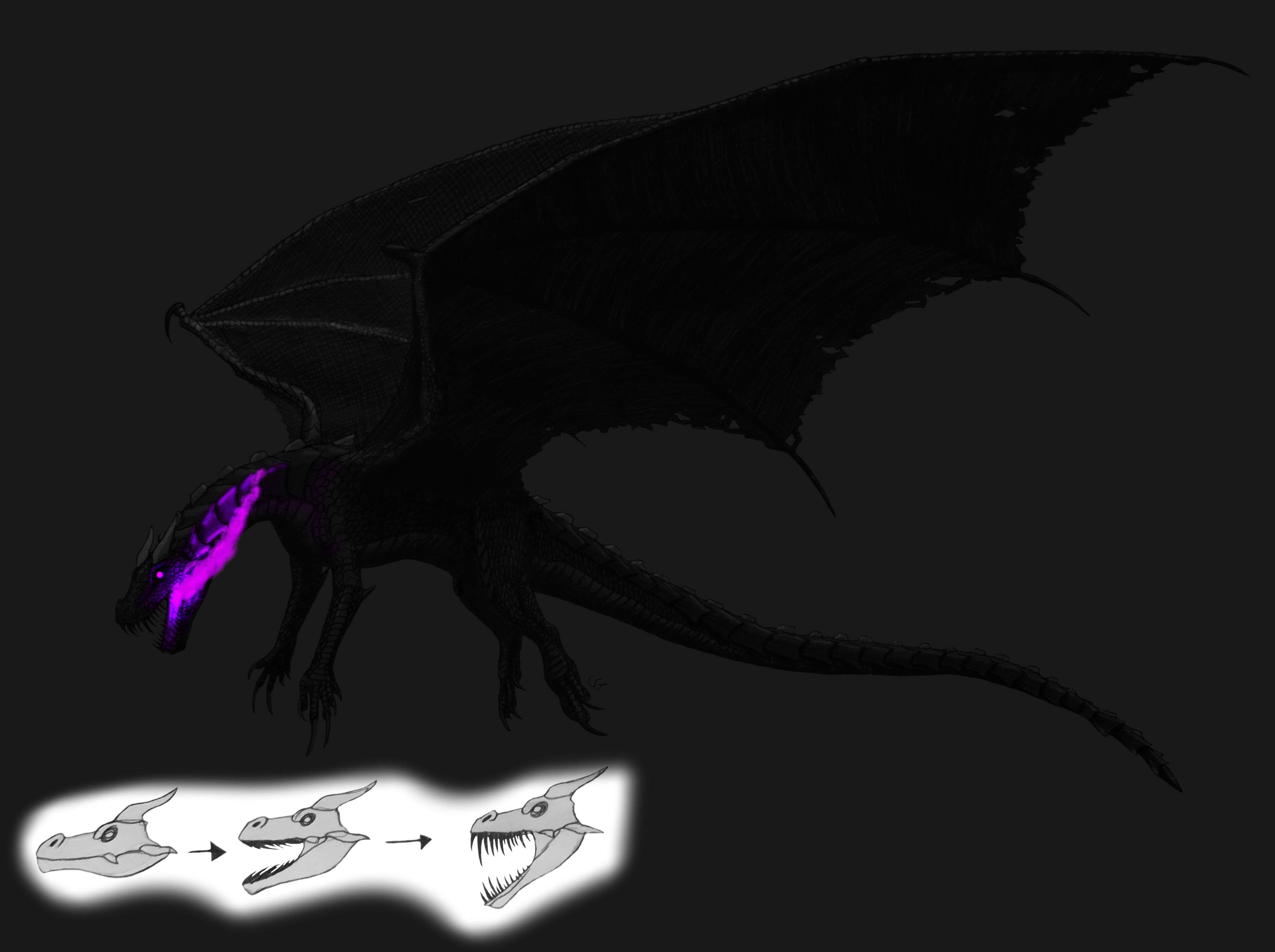 minecraft ender dragon by