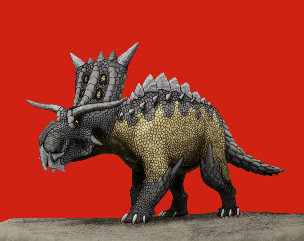 Bastideon Pokemon: Bastiodon by AcroSauroTaurus on DeviantArt