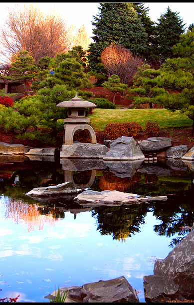 Japanese Pond