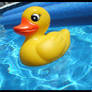Petit canard