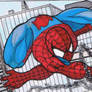 Spider-Man  Sketch Card