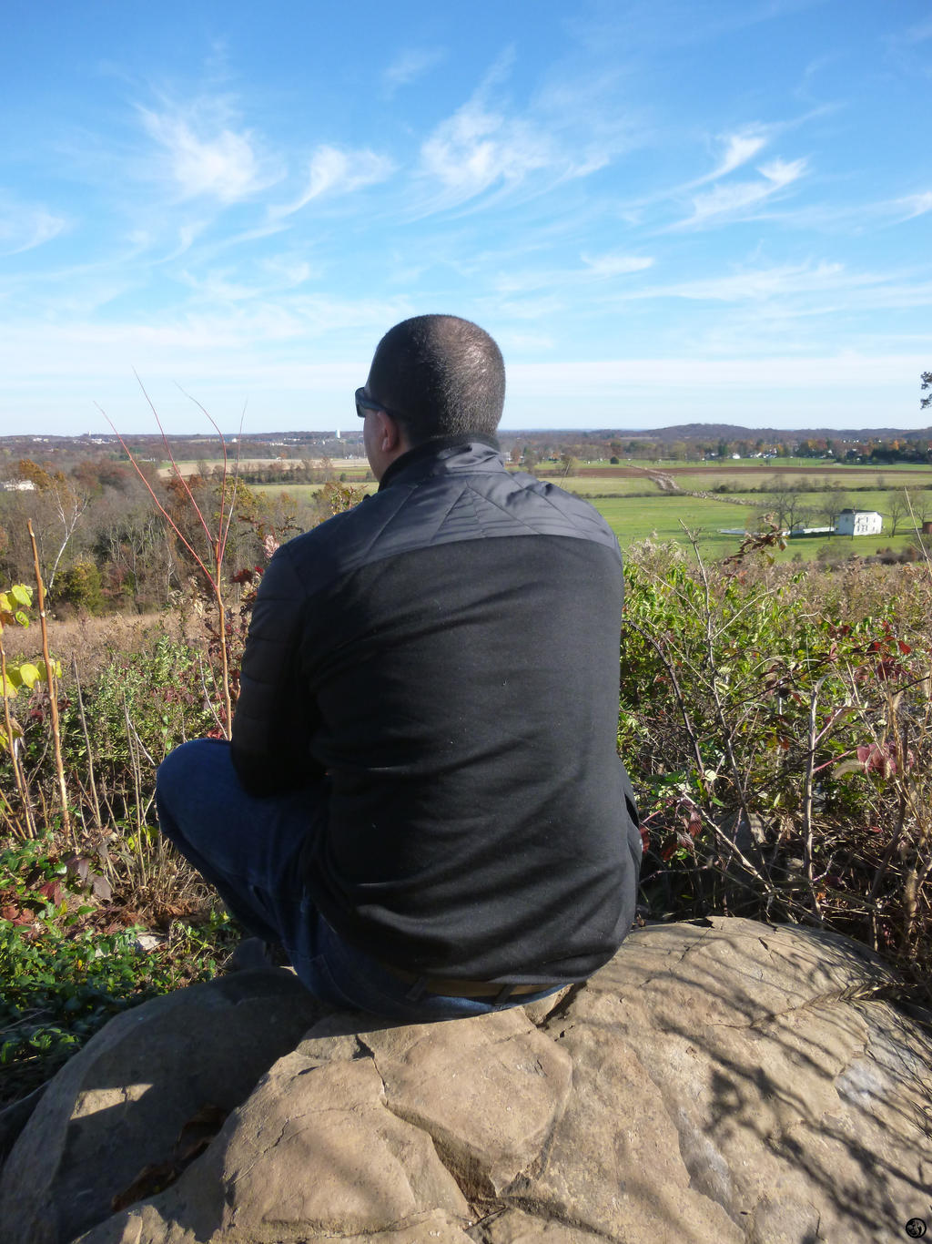 Looking Over Gettysburg