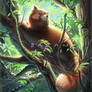 Red Panda (Link to prints in desc.!)