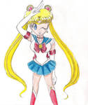 She's The One Named Sailor Moon