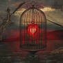 Caged love...