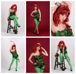 2012 Poison Ivy