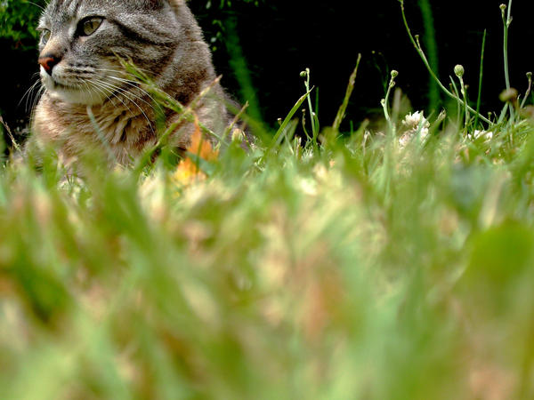 Le Mathoo revient 2 by Super-Mathoo on DeviantArt