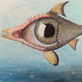 Eyefish