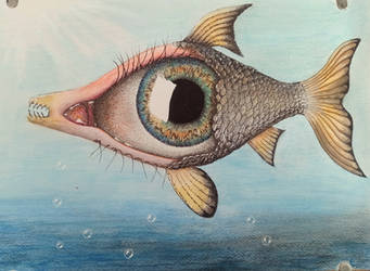 Eyefish