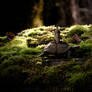 The Slow Wanderer