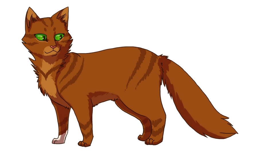 Squirrelflight by Drekalder