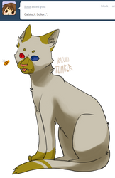 [Request] catstuck!Sollux