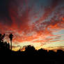 Out My Window