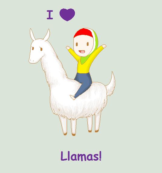 I Love Llamas