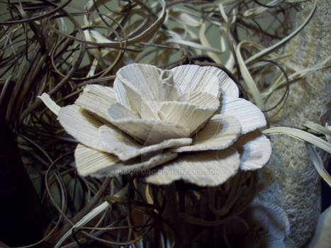 The Wooden Flower