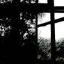 Gloomy Day