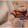 Teddy2