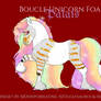 V593 - Palais Foal Design