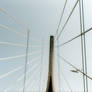 Under the bridge
