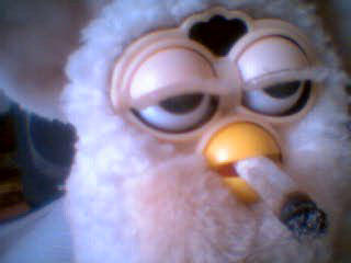 Furby